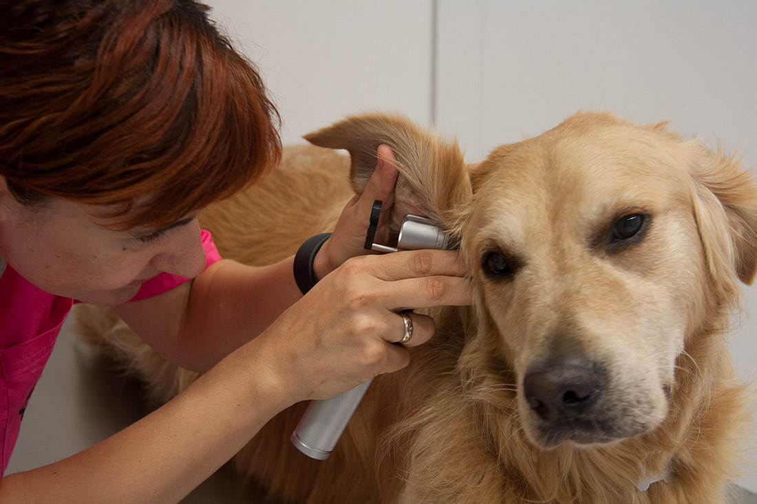 consulta-medicina-interna