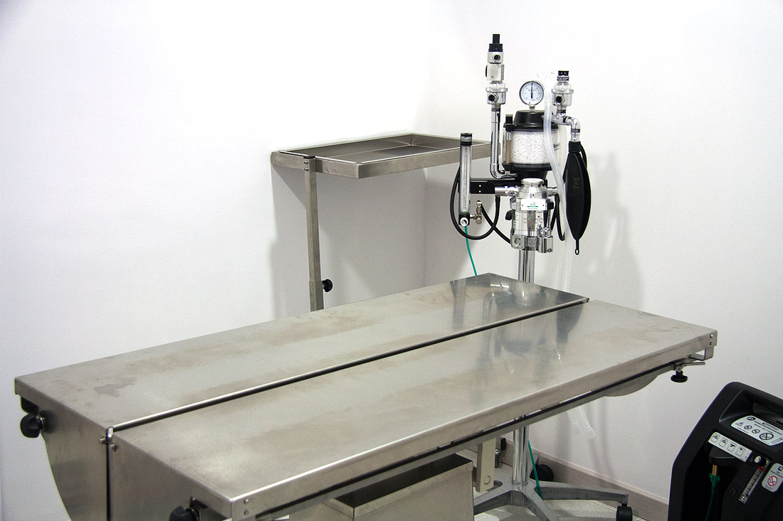 quirofan-cirurgies-veterinari