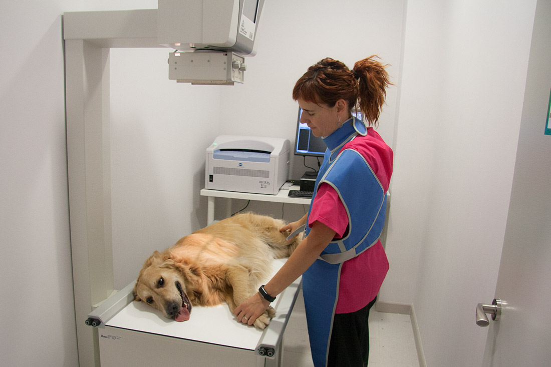 radiologia-radiografies